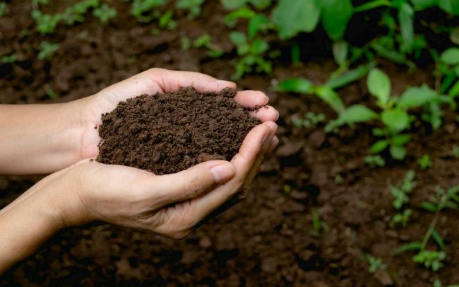 52° Convegno Nazionale della Società Italiana di Agronomia